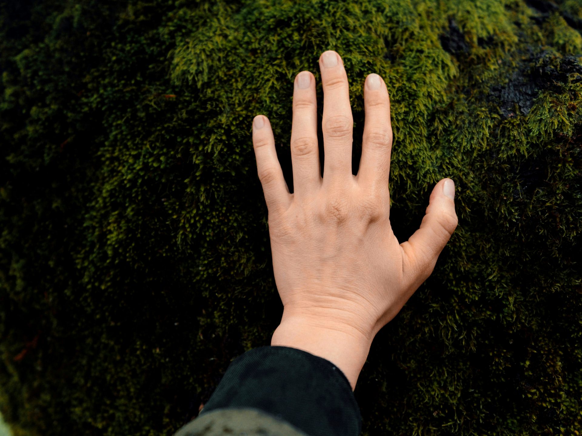 Hand berührt moosbewachsene Baumrinde – Verbundenheit von Mensch und Natur