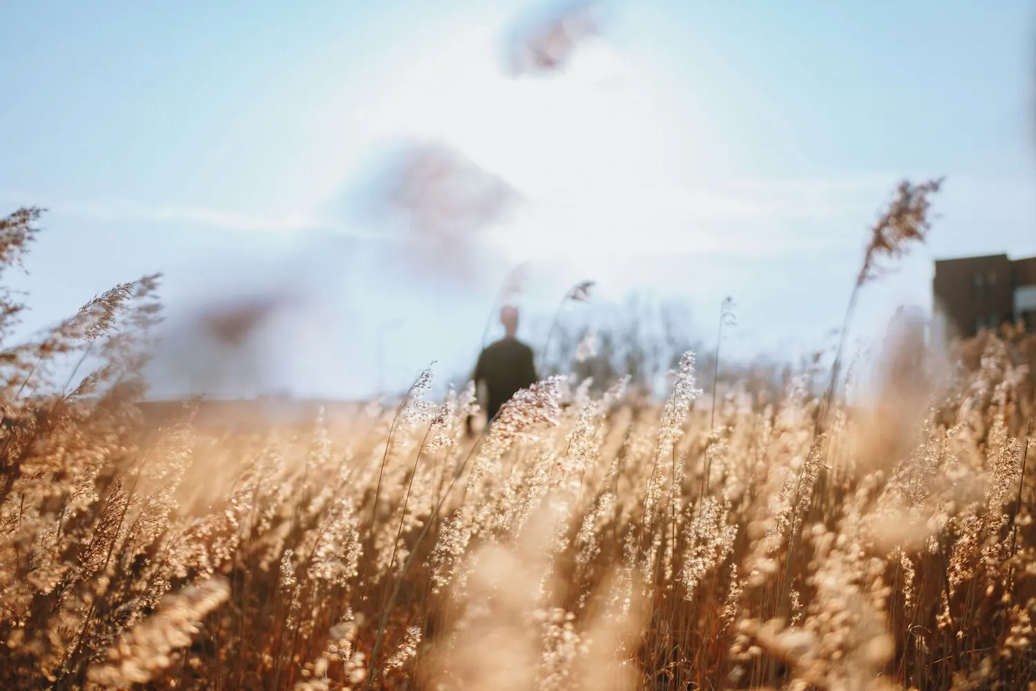 Gesundheitsberatung bei Evolve Health